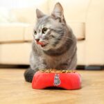 Custom Waterproof Vinyl Stickers with Your Image, Photo, Text or Logo | 7 Size Options 250 Pack Options Personalized Label for Business Logo - Image 6